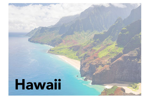 Hawaii State Promotional Product Sales Data