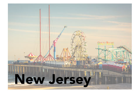 New Jersey State Promotional Product Sales Data