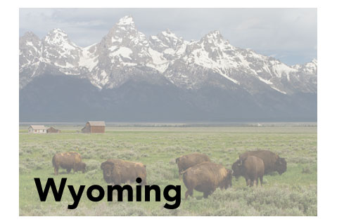 Wyoming State Promotional Product Sales Data