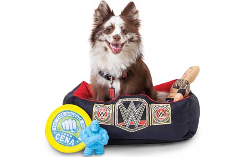 WWE Launches Pet Products