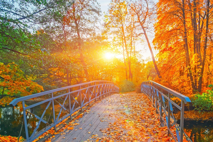 6 Ways To Get Creative With Direct Mail for Fall