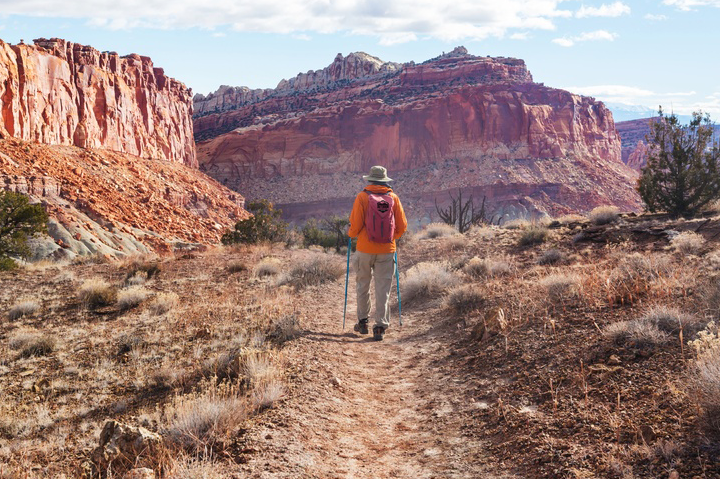 L2 Brands Acquires National Park-Inspired Brand Wild Tribute