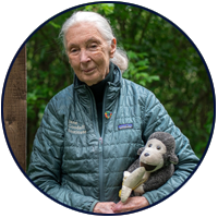 Jane Goodall