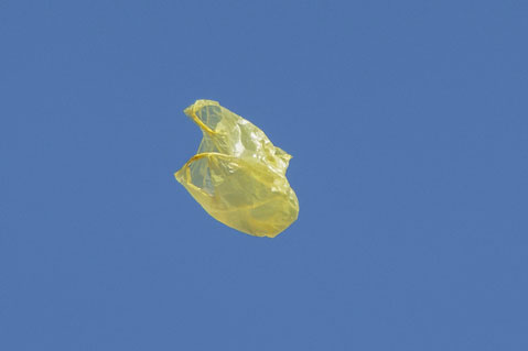 Philly Looks to Ban Single-Use Plastic Bags