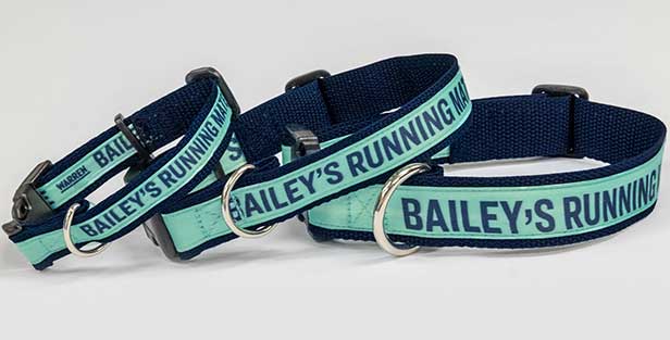 Elizabeth Warren Dog Collar