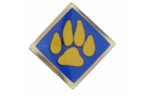 Cub Scout Pin