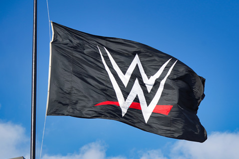 Case Study: WWE’s Success With E-Commerce Merch