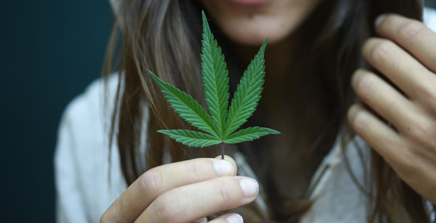 Woman holding cannabis leaf