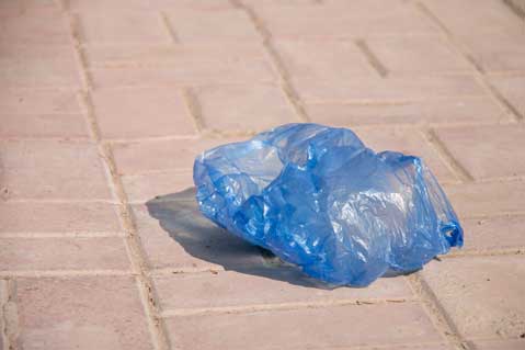 New York Approves Statewide Plastic Bag Ban