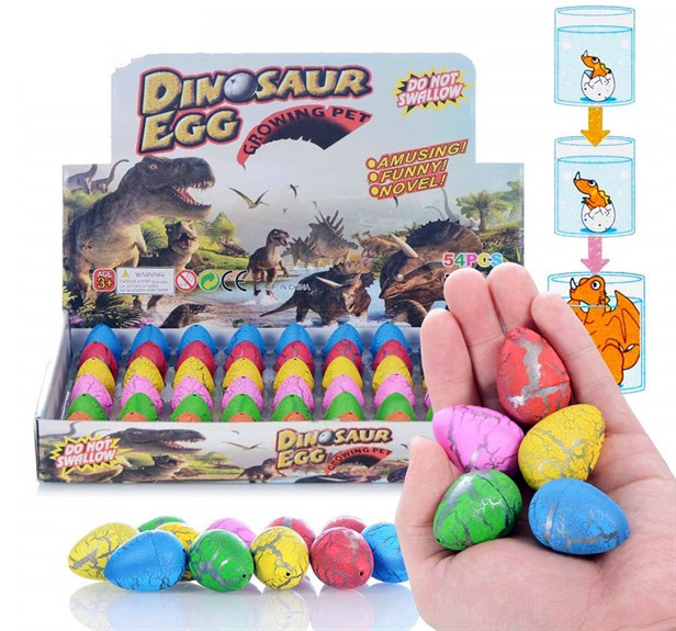 Dinosaur eggs