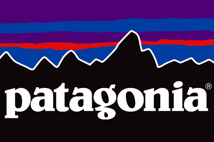 Patagonia Misses the Forest for the Trees