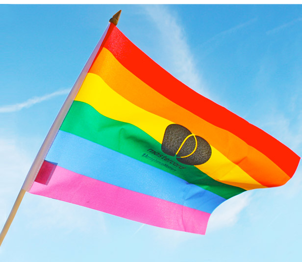 rainbow flag