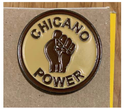 Chicano pin