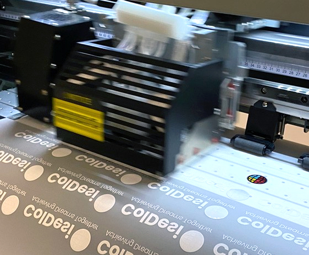 Coldesi printer