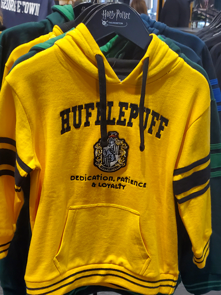 Harry Potter Hufflepuff embroidered sweatshirt