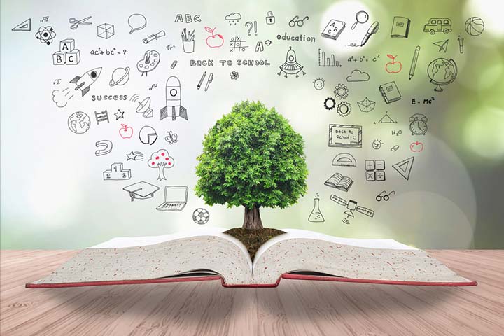 Boost Your Sustainability Knowledge With These Classes