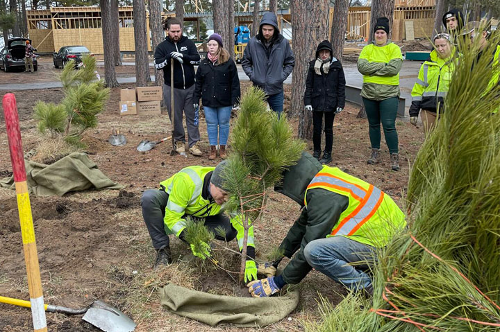 Woodchuck USA Plants 3 Million Trees