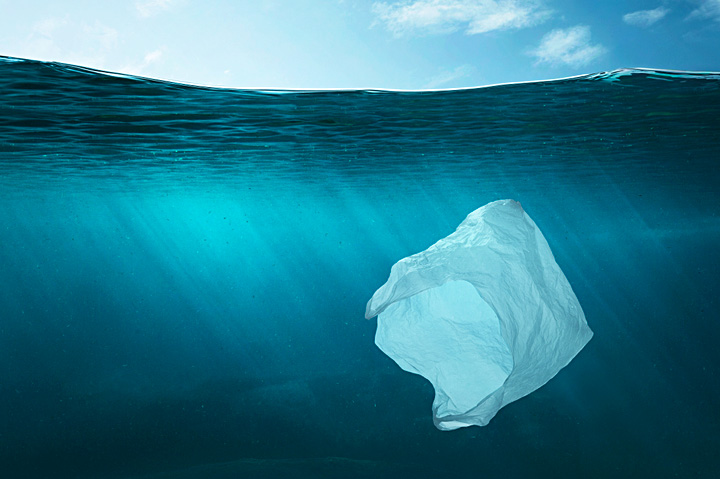 bag floating in ocean