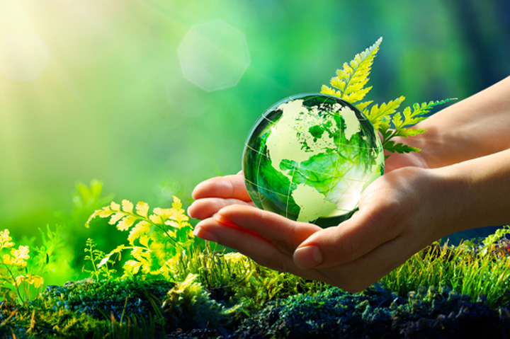 Sustainability globe