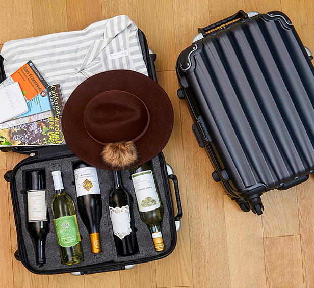 wine suitcase