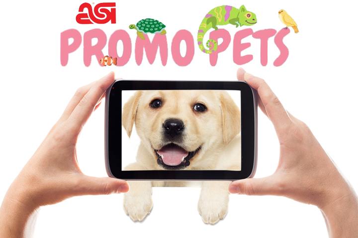 Show Off Your Furry Friends With ASI #PromoPets