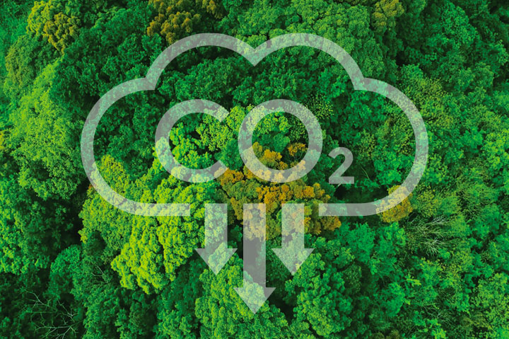 green forest, decarbonization symbol overlaid on top