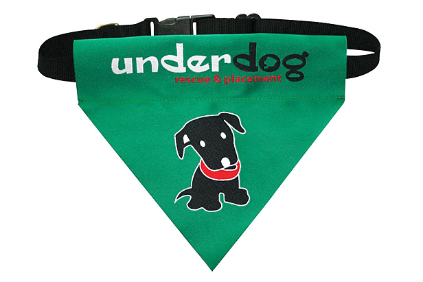 dog bandanna