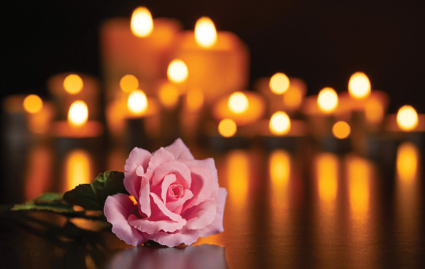 candles and pink rose