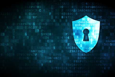 Firms Address Cybersecurity Risks