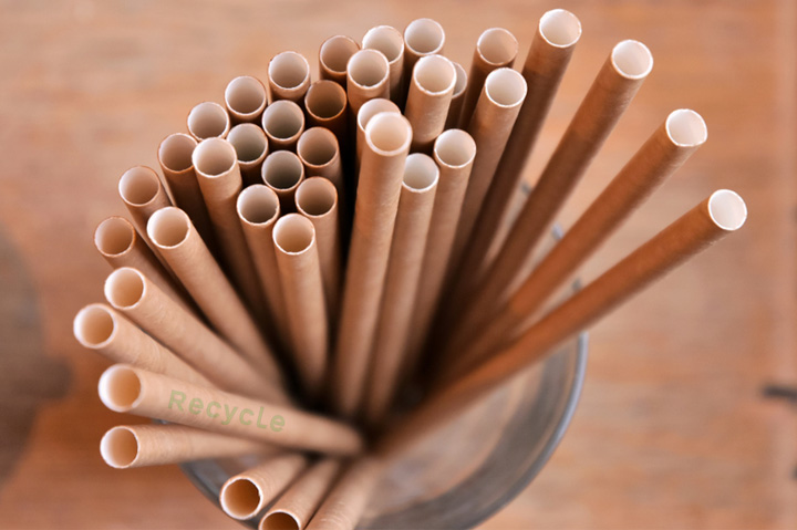 Florida Legislation Could End Single-Use Plastic Straw Bans in the State