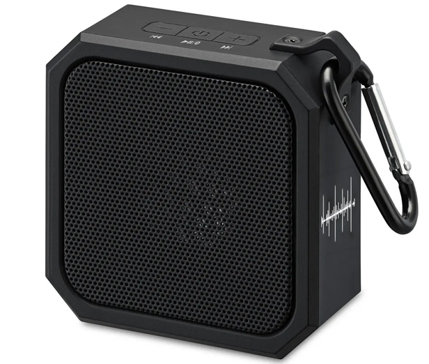 portable speaker 