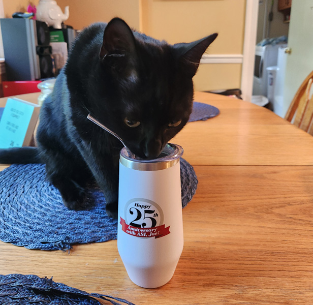 black cat drinking from wine tumbler