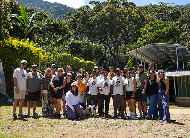 Coffee Farm