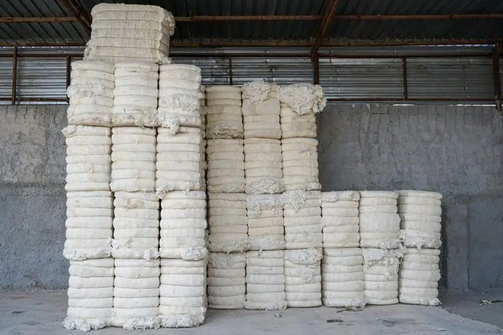 Better Cotton Launches Traceability Solution