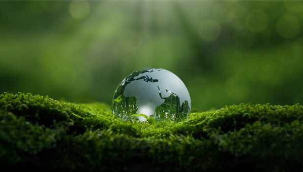 crystal ball globe on moss