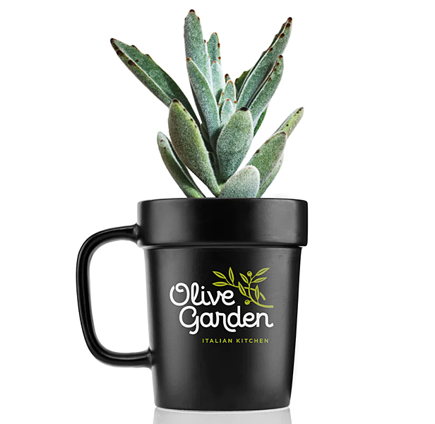 mug planter