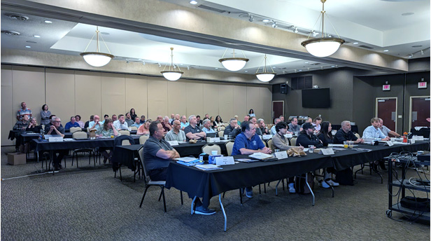 people at a meeting
