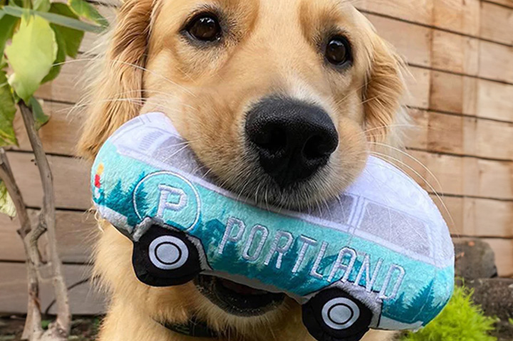 Editor’s Picks: Must-Have Pet Products