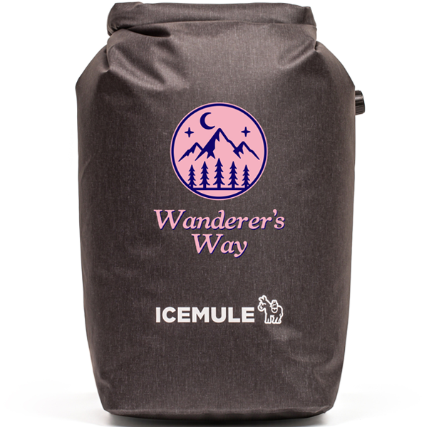 ICEMULE collapsible cooler pack