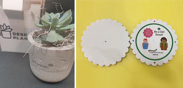 branded succulents and friendship bracelet makers