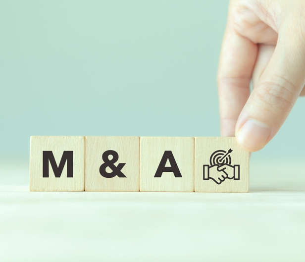 Merger Acquisition Blocks