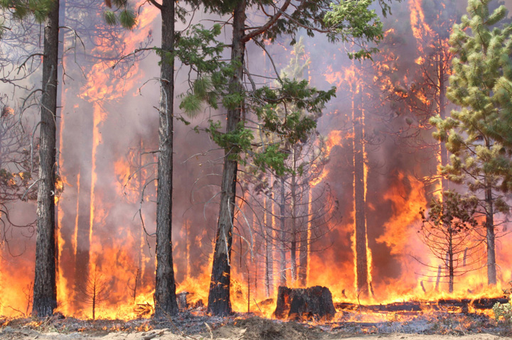 Spokane Distributor Displaced by Wildfire