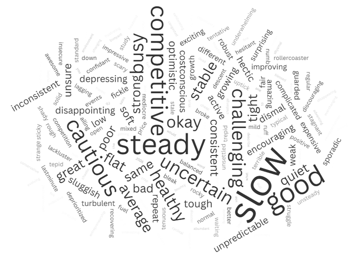 word cloud