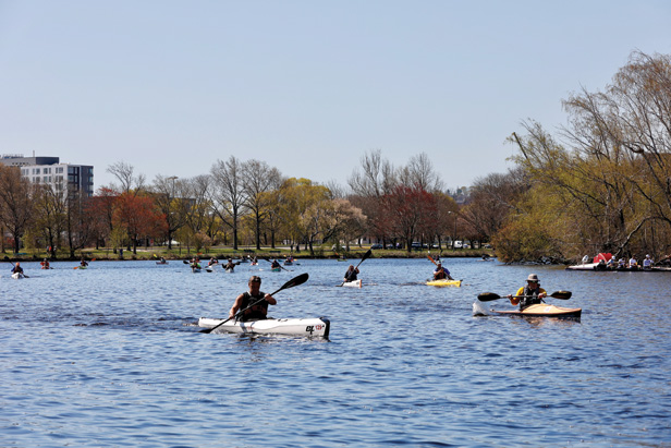 people kayaking on the Charles River