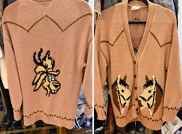 Jackalope Sweater