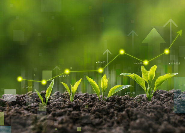 sustainability growth