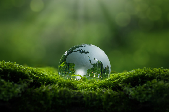 Whitestone Earns Bronze EcoVadis Rating