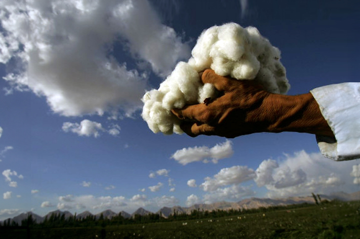 Study Finds Xinjiang Cotton in 19% of Apparel Sold in US and Abroad